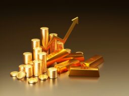 Wealth Management